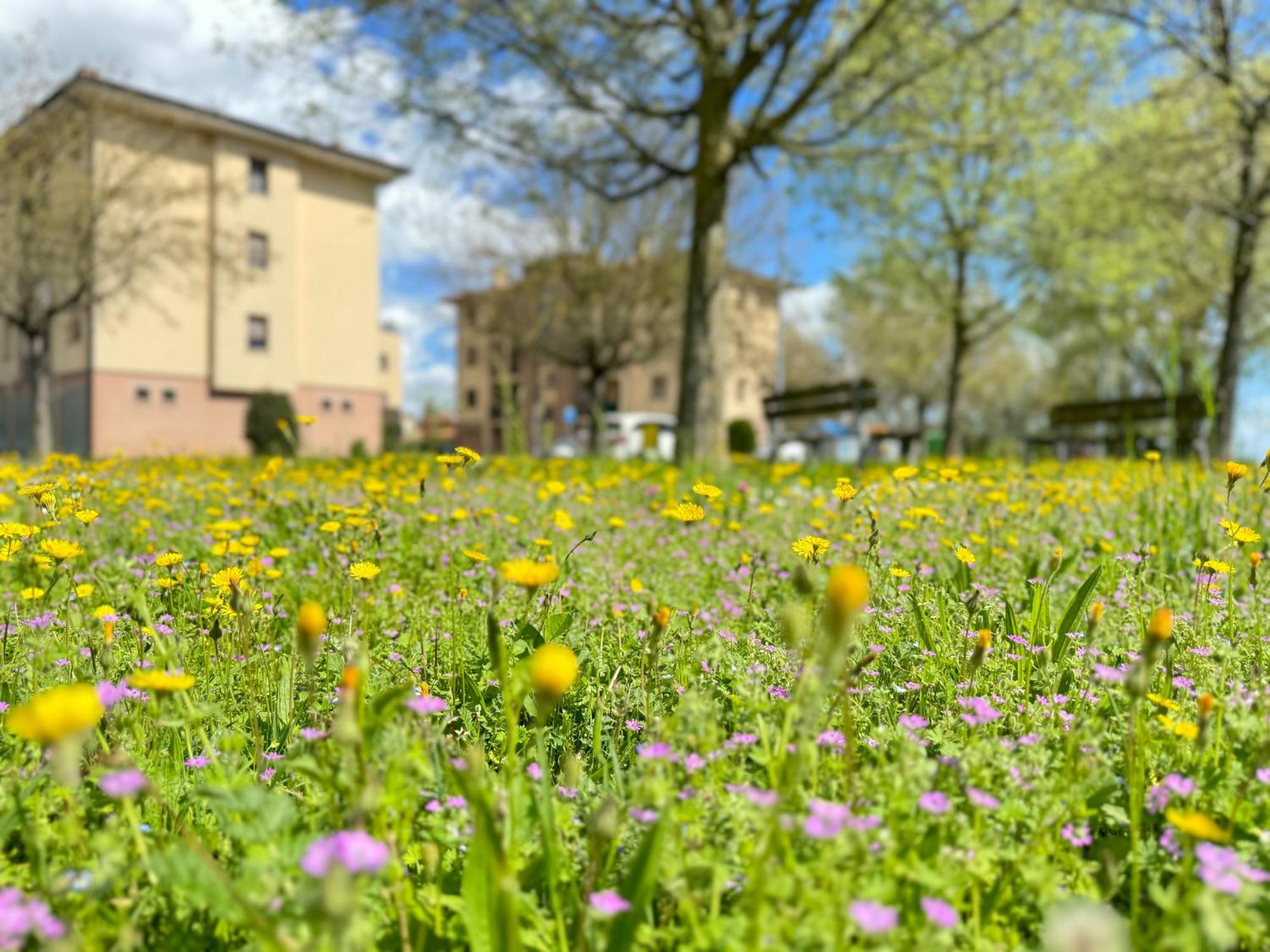Nel Cuore Della Natura - Parcheggio Gratuito - Wi-Fi Apartman Mezzolara Kültér fotó