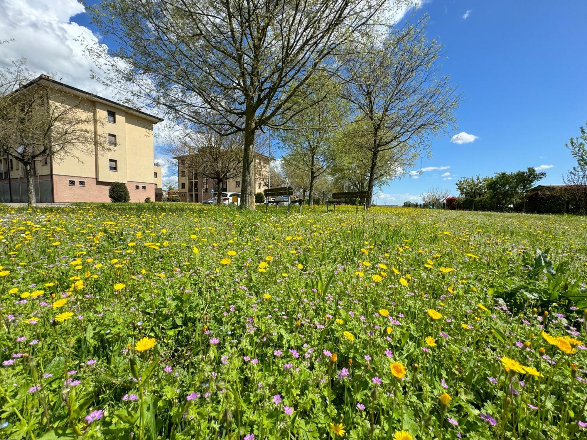 Nel Cuore Della Natura - Parcheggio Gratuito - Wi-Fi Apartman Mezzolara Kültér fotó